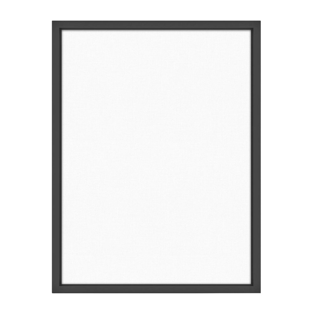 MCS Floating Frame with Canvas Included, Art Frames for Canvas Paintings with Adhesive Fasteners and Hanging Hardware, Black, 18 x 24 inch